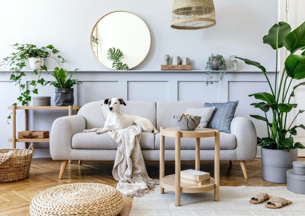 interior-design- pin